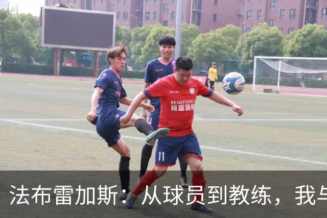 法布雷加斯：从球员到教练，我与梅西的“自由飞翔