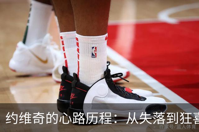 约维奇的心路历程：从失落到狂喜，字母哥来了！